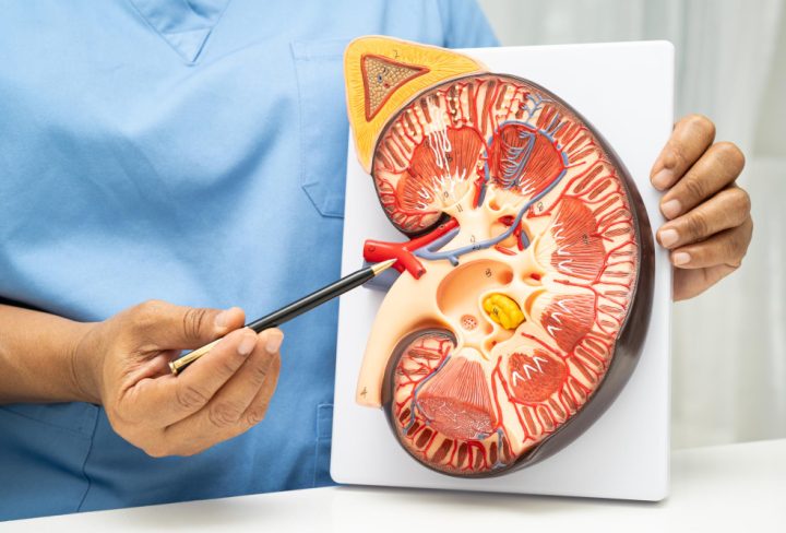 EN-B-IMFM-CN1-V230_20260421_153610_v1